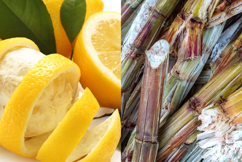lemon peel and sugar cane bagasse